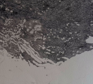 Screenshot 2026-02-17 135308