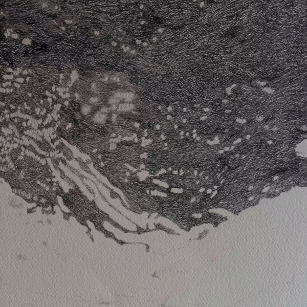 Screenshot 2026-02-17 135308