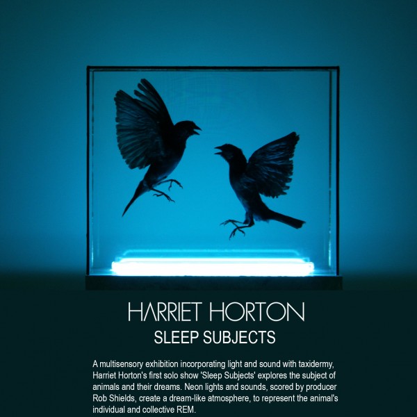 Sleep Subjects - Harriet Horton